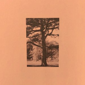 无尽怪物粗暴肛交
